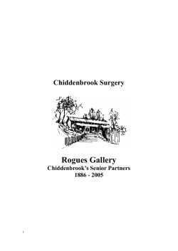 Rogues Gallery 290113 v1