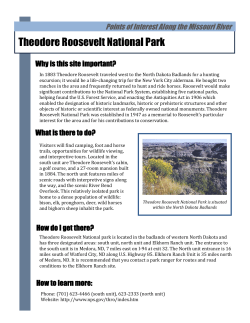 Theodore Roosevelt National Park