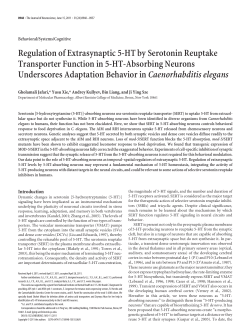 Regulation of Extrasynaptic 5-HT by Serotonin Reuptake