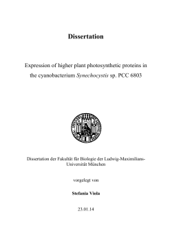 Expression of higher plant photosynthetic proteins in the