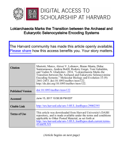 Lokiarchaeota Marks the Transition between the Archaeal and