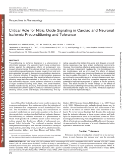 Critical Role for Nitric Oxide Signaling in Cardiac and Neuronal