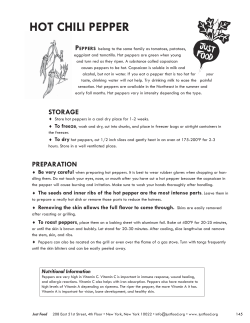 HOT CHILI PEPPER - Sunset Park CSA