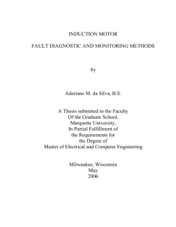 Induction Motor Fault Diagnostic and Monitoring Methods