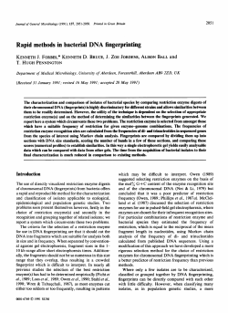 Rapid methods in bacterial DNA fingerprinting