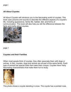 PDF Version