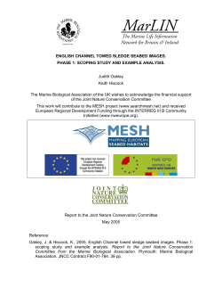 ENGLISH CHANNEL TOWED SLEDGE SEABED IMAGES. PHASE 1