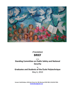 Standing Committee on Public Safety and