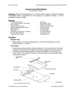 DNA GEL ELECTROPHORESIS Summary: DNA