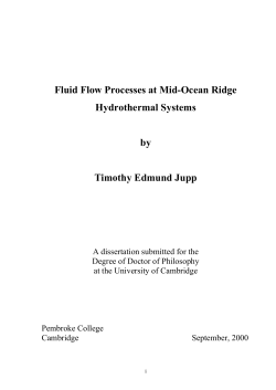 Fluid Flow Processes at Mid-Ocean Ridge