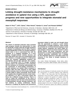 Linking drought-resistance mechanisms to
