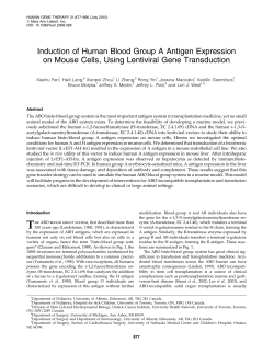 Induction of Human Blood Group A Antigen Expression