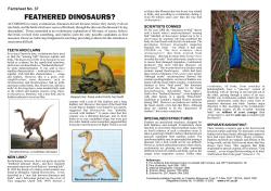 feathered dinosaurs? - Creation Resources Trust
