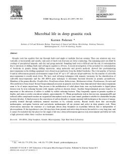 Microbial life in deep granitic rock