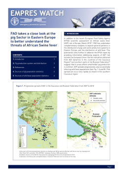 FAO takes a close look at the pig Sector in Eastern Europe to better