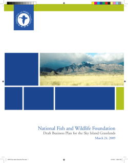 Sky Island Grasslands Business Plan