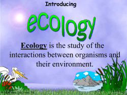 Biotic and Abiotic Factors