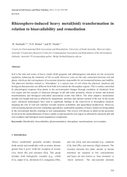 Rhizosphere-induced heavy metal(loid) transformation in