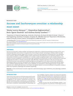 Sucrose and Saccharomyces cerevisiae: a relationship most sweet