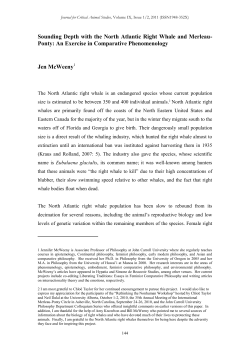 Sounding Depth with the North Atlantic Right Whale and Merleau