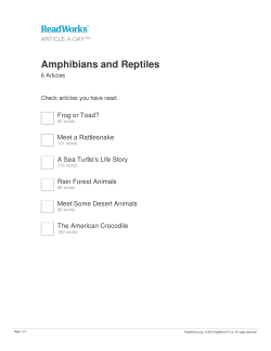 Amphibians and Reptiles