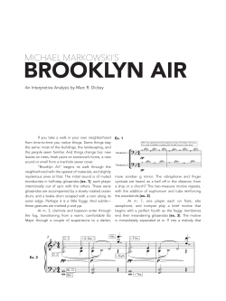 Brooklyn Air: An Interpretive Analysis by Dr