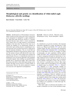 Morphological and genetic sex identification of white