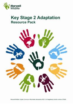 Key Stage 2 Adaptation