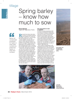 Spring barley &ndash; know how much to sow