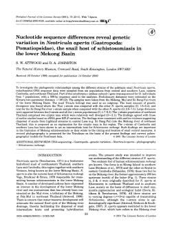 Nucleotide sequence differences reveal genetic