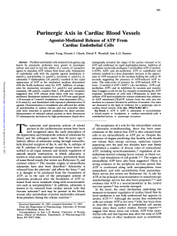 Purinergic Axis in Cardiac Blood Vessels