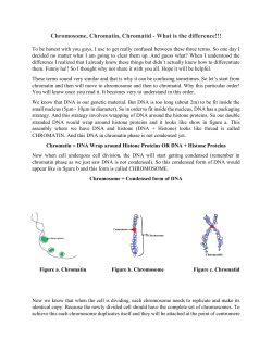 Chromosome, Chromatin, Chromatid