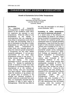 Growth of Escherichia Coli at Chiller Temperatures Tineke Jones