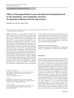Effects of bioaugmentation in para-nitrophenol - QIBEBT-IR