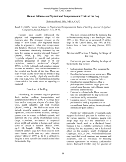 Human Influence on Physical and Temperamental Traits of the Dog