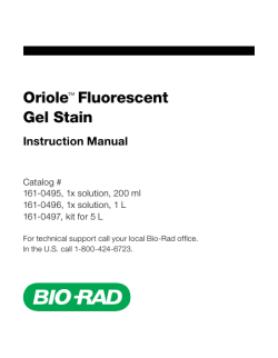 Oriole&trade; Fluorescent Gel Stain - Bio-Rad