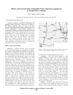 History and Current Status of Egyptian Goose