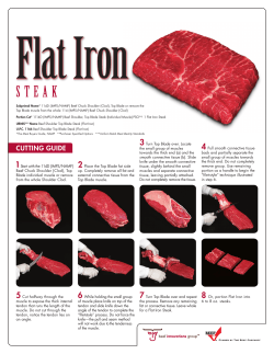 Flat Iron - Chefs Resources