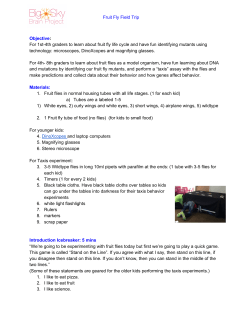 Fruit Fly Field Trip 1 hour Lesson Plan