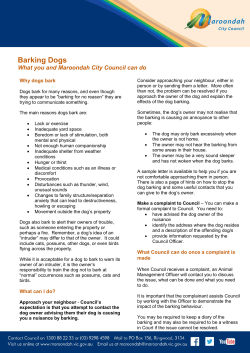 Barking Dogs Information Leaflet