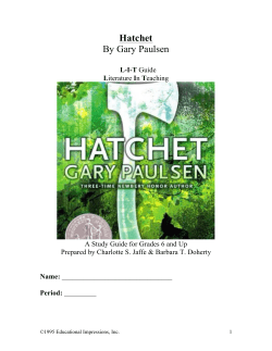 Hatchet By Gary Paulsen