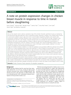 A note on protein expression changes in chicken breast muscle in
