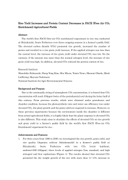 Rice Yield Increases and Protein Content Decreases in FACE (Free