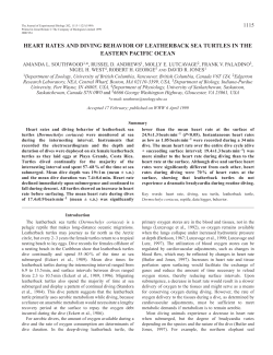 Heart rates and diving behavior in turtles