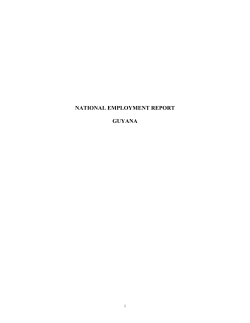 national employment report guyana
