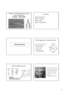 DNA replication
