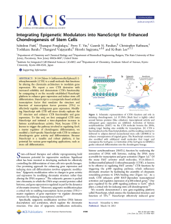 Integrating Epigenetic Modulators into NanoScript for Enhanced