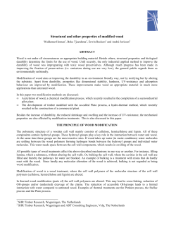 Structural and other properties of modified wood