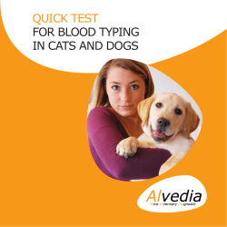 quick test for blood typing in cats and dogs