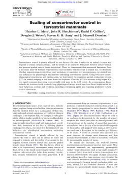Scaling of sensorimotor control in terrestrial mammals